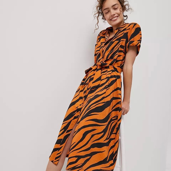 Anthropologie Dresses & Skirts - Anthropologie Maeve Teresa Midi Tiger Dress. Small.